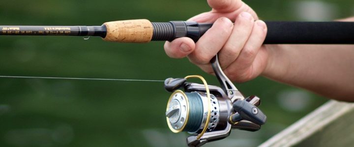 spinning reel